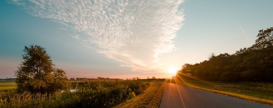 Beautiful sunrise over a tranquil rural road in London, ON, surrounded by nature and open sky.